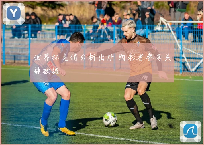 世界杯竞猜分析出炉 购彩者参考关键数据