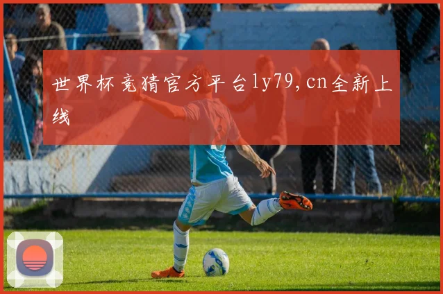 世界杯竞猜官方平台ly79,cn全新上线