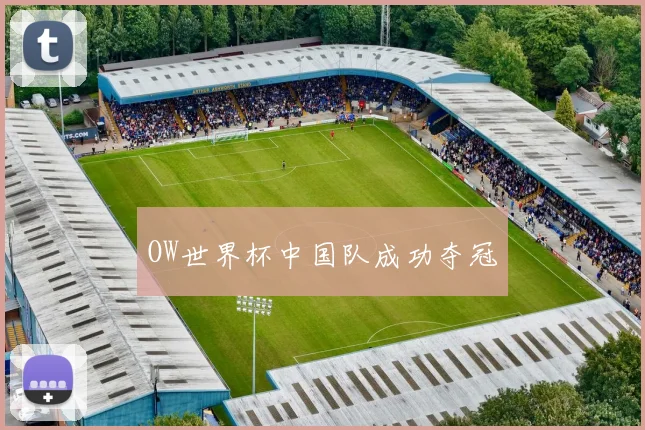 OW世界杯中国队成功夺冠