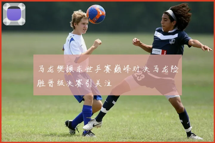 马龙樊振东世乒赛巅峰对决马龙险胜晋级决赛引关注