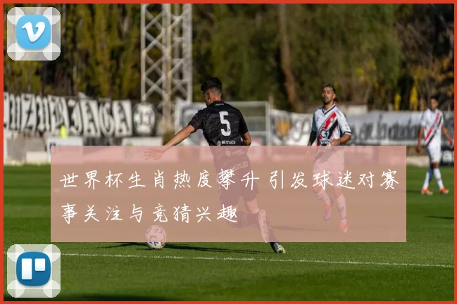 世界杯生肖热度攀升 引发球迷对赛事关注与竞猜兴趣