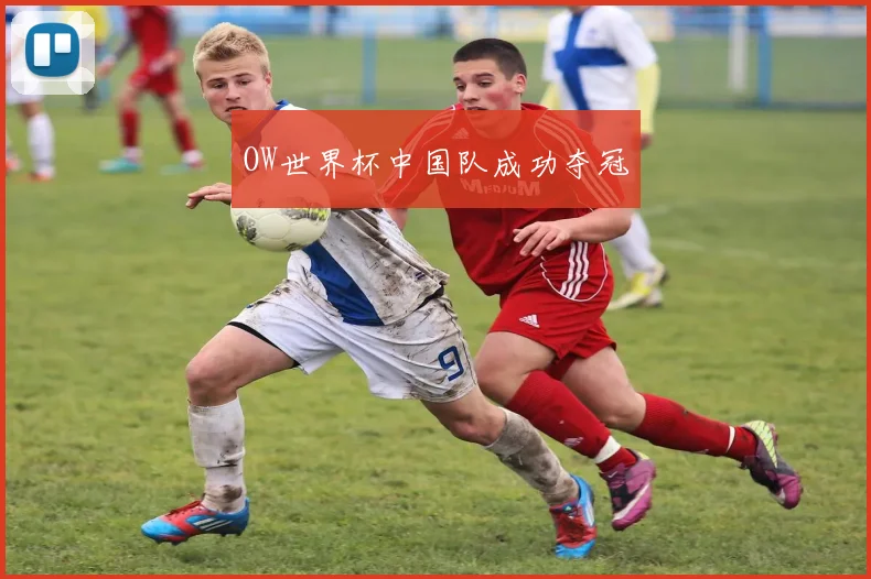 OW世界杯中国队成功夺冠