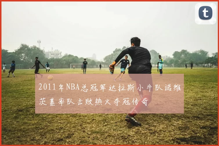 2011年NBA总冠军达拉斯小牛队诺维茨基率队击败热火夺冠传奇