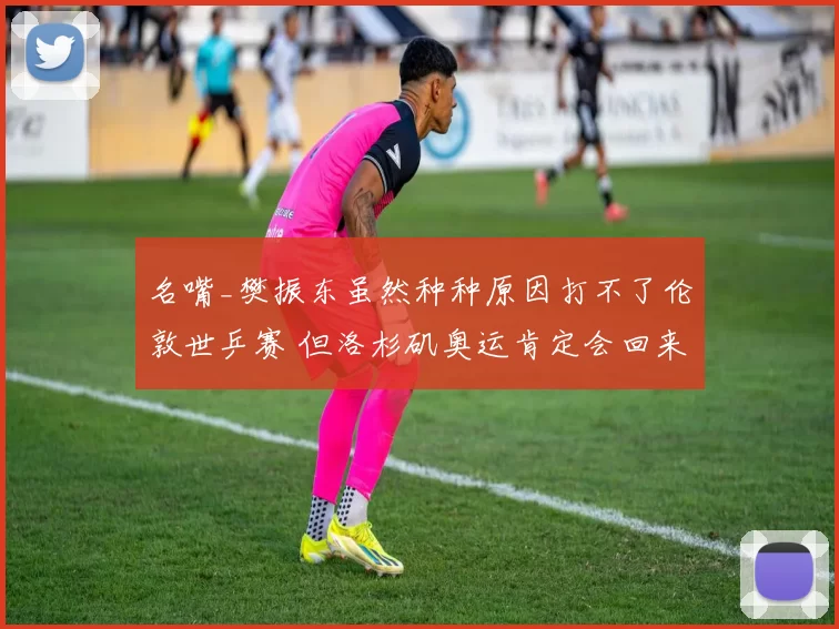 名嘴_樊振东虽然种种原因打不了伦敦世乒赛 但洛杉矶奥运肯定会回来打