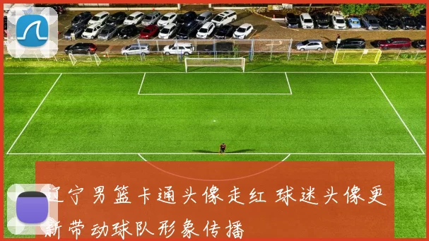 辽宁男篮卡通头像走红 球迷头像更新带动球队形象传播