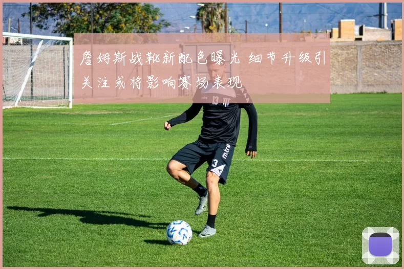 詹姆斯战靴新配色曝光 细节升级引关注或将影响赛场表现