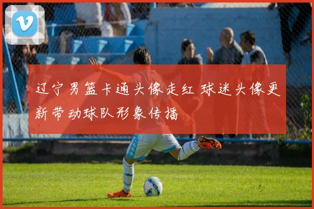 辽宁男篮卡通头像走红 球迷头像更新带动球队形象传播